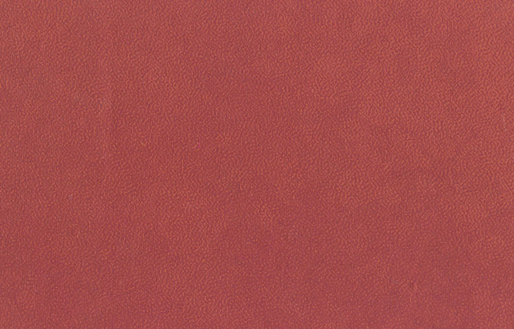 Moire Cloud: Magenta on Ketchup Red