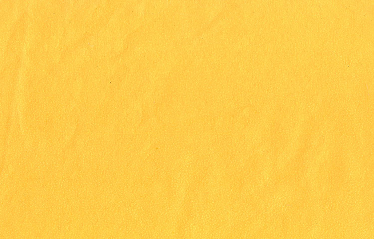 Moire Cloud: Orange on Dandelion Yellow