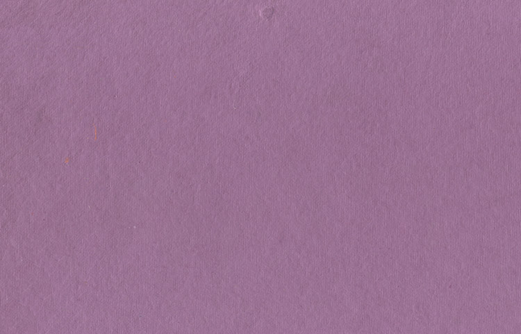 Honeysuckle Purple