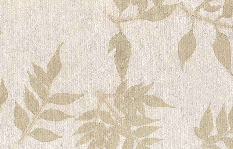 Neem Leaves Impression: Chalk White Cotton Rag Thick