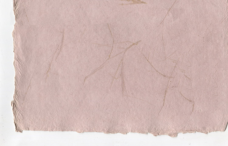 Grass Impression: Dusty Rose JIS B5 Deckle Edged Sheet