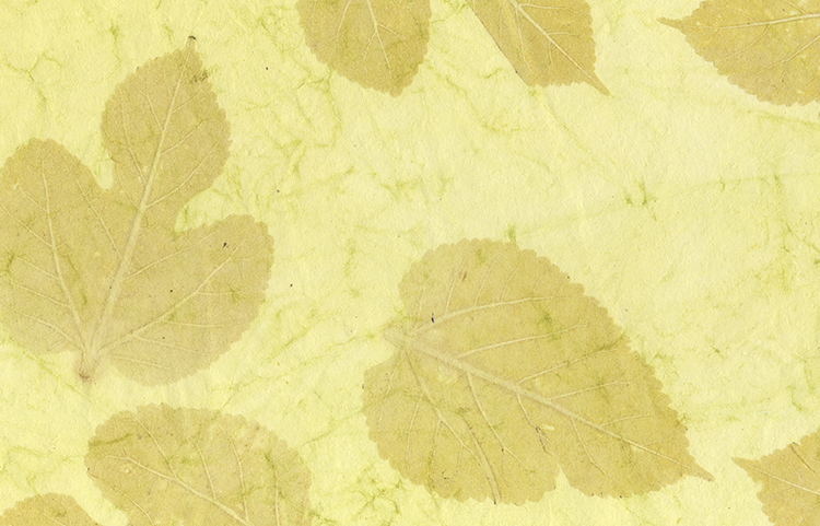 Leaves Impression: Tender Green Cotton Rag Batik Paper
