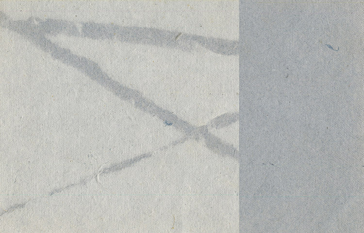 Crisscross Pulp Overlay: White on Blue Gray Denim, Duplex