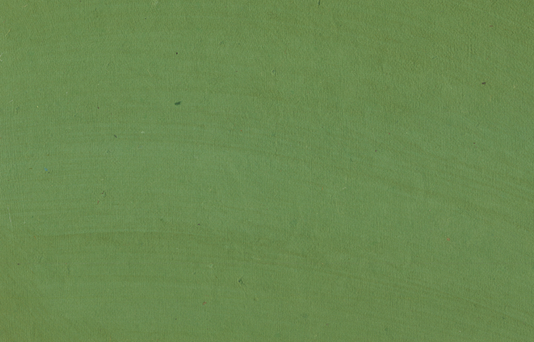 Pocha Coating: Green Natural dye on Peppermint Green