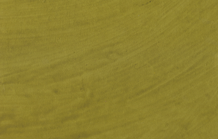 Pocha Coating: Olive Natural dye on Moss Green