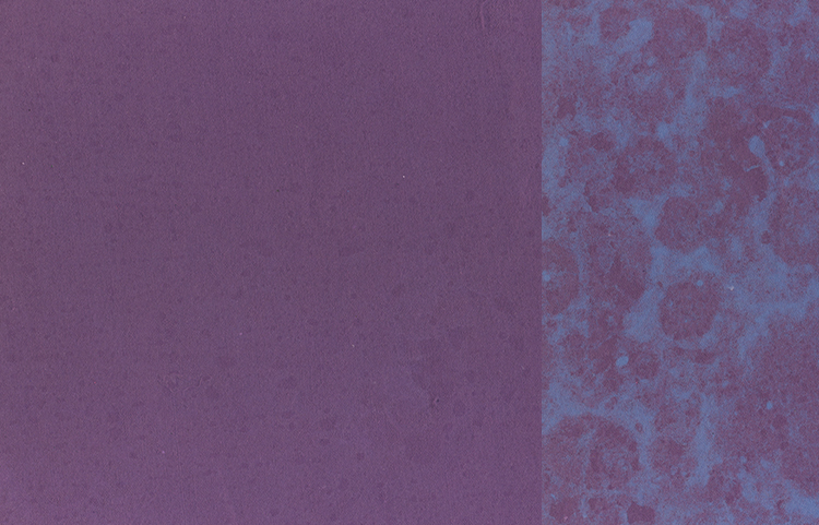 Grape with Riviera Blue Clouding, Mixed Pulp