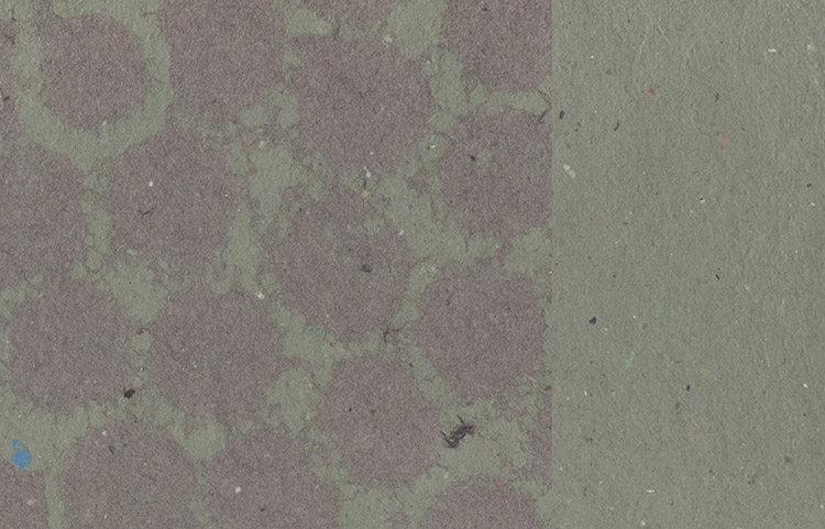 Dots Pulp Overlay: Purple Fog on Sage, Duplex