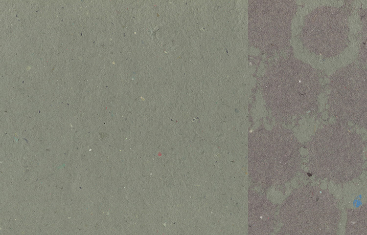 Jasper Green with Purple Fog Dots Pulp Overlay, Duplex