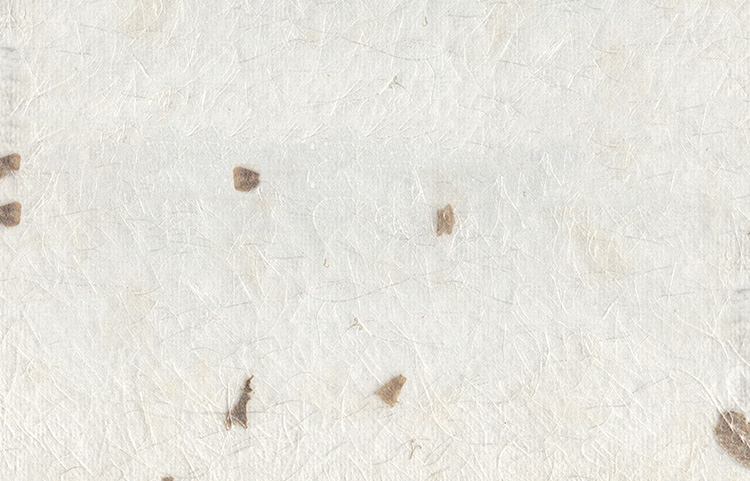 Natural White Art Silk Fibre Tissue with Sandwiched Marigold