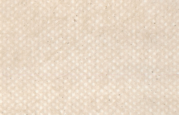  Small Dots Pattern: Natural Banana & Jute Fibres Tissue, Mesh Overlay