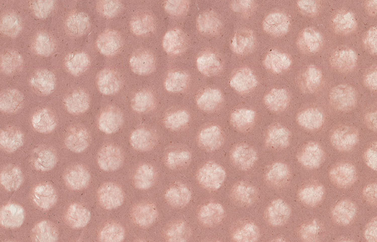  Large Dots Pattern: Rose Fawn Banana & Jute Fibres Tissue, Mesh Overlay