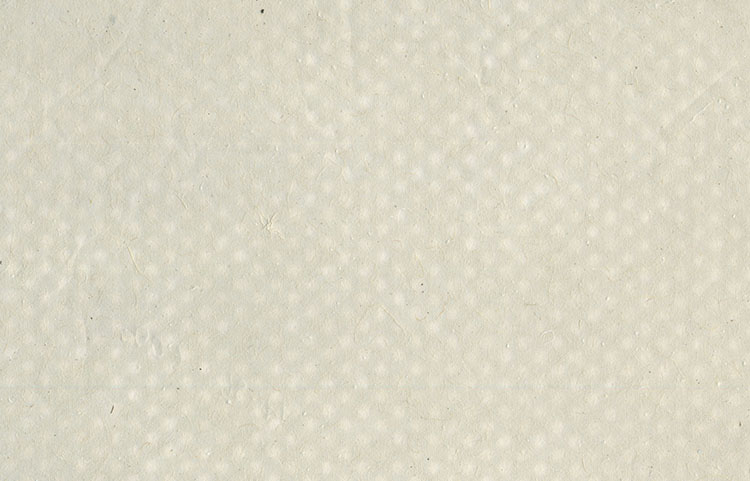  Small Dots Pattern: Light Gray Banana & Jute Fibres Tissue, Mesh Overlay