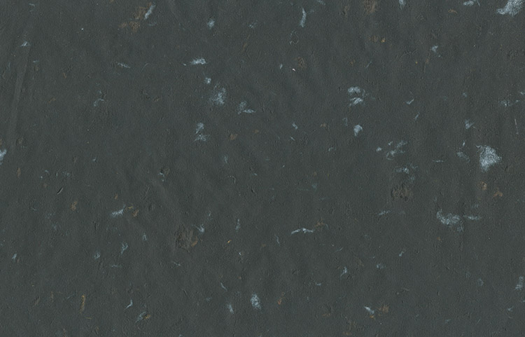 Black Tissue with Brown & Blue Gray Pulp Scraps