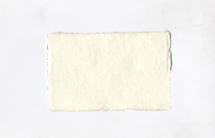 Ivory White Deckle Edged Post Card