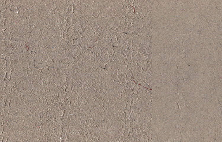 Taupe Bark Mat Texture Cotton Rag, Wallpaper length